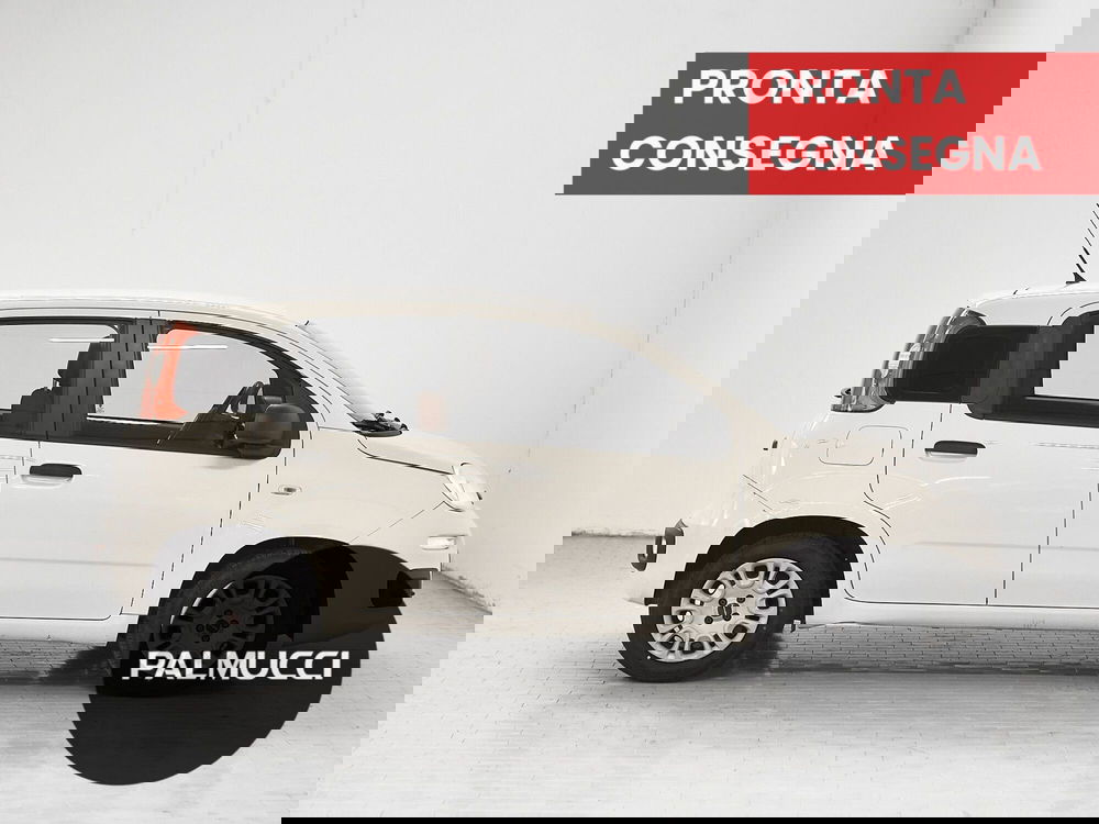 Fiat Panda usata a Prato (5)