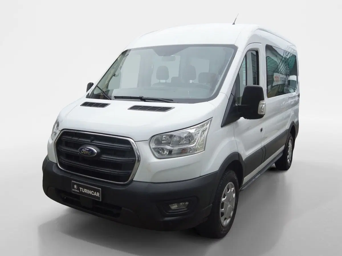 Ford Transit Furgone usata a Torino (3)