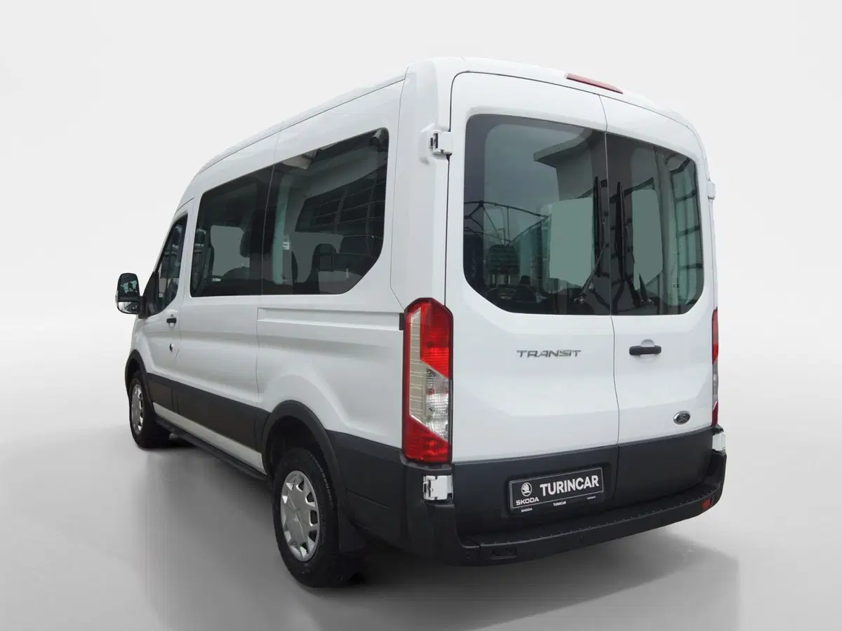 Ford Transit Furgone usata a Torino (4)