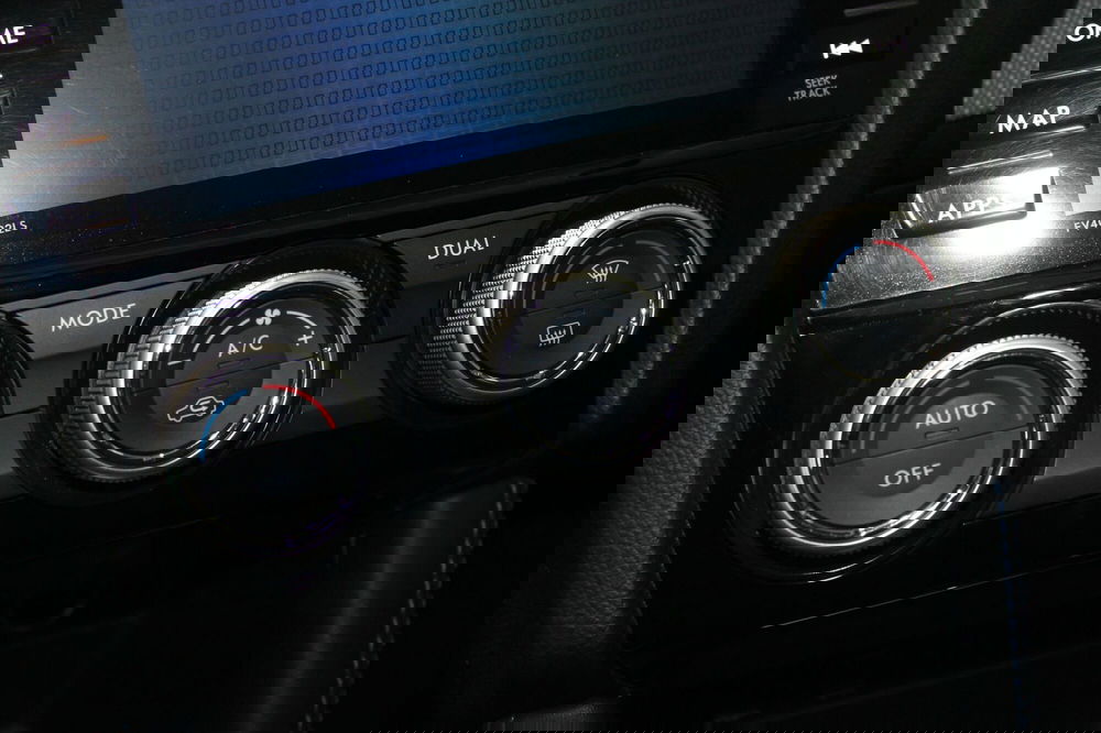 Subaru Levorg usata a Cuneo (11)