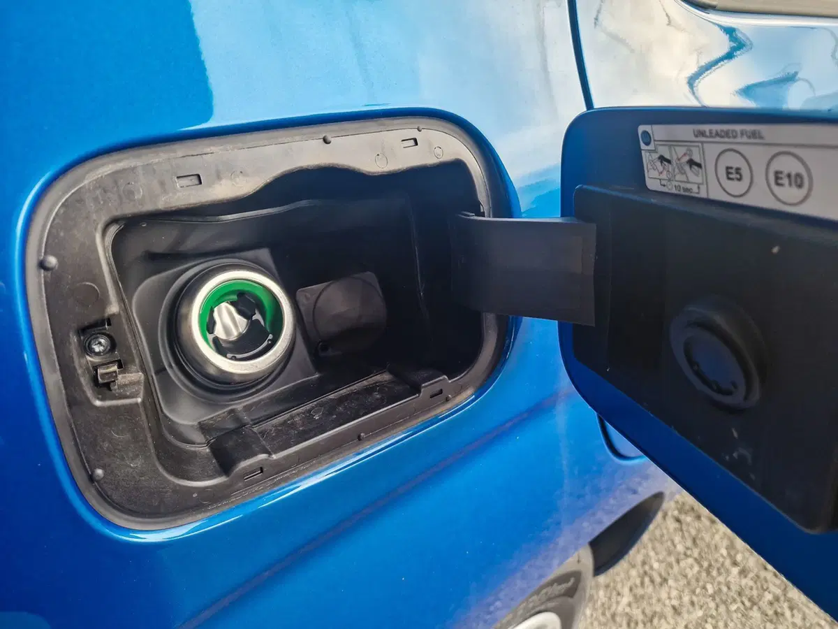 Fiat Pandina nuova a Torino (14)