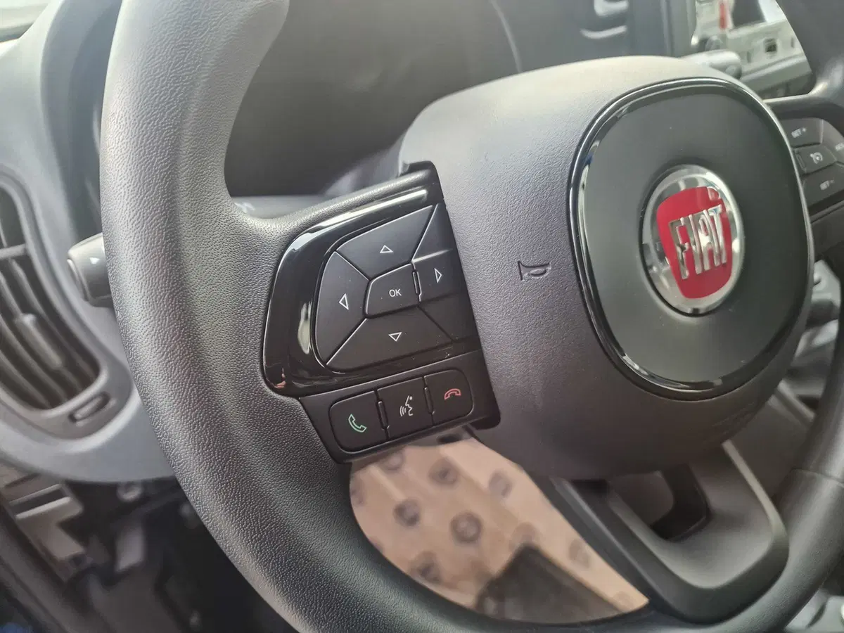 Fiat Pandina nuova a Torino (18)