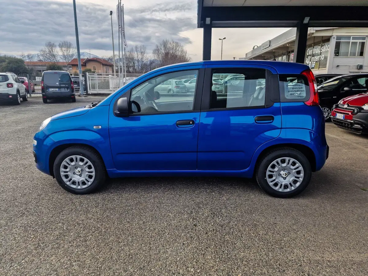 Fiat Pandina nuova a Torino (3)