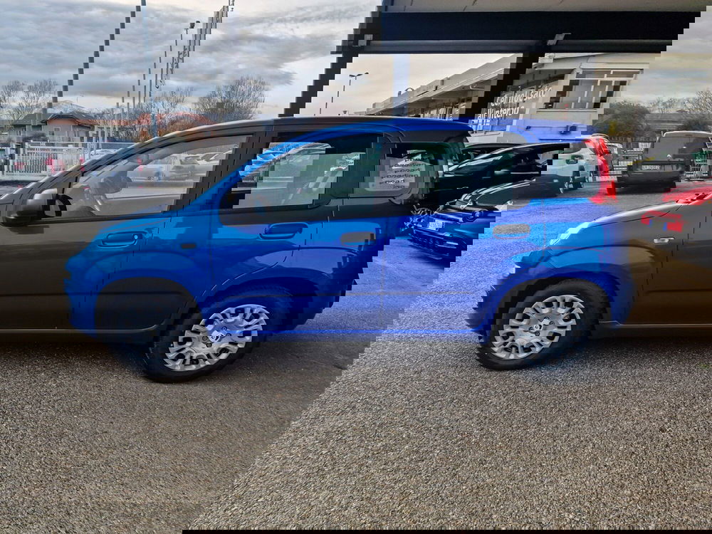 Fiat Pandina nuova a Torino (3)