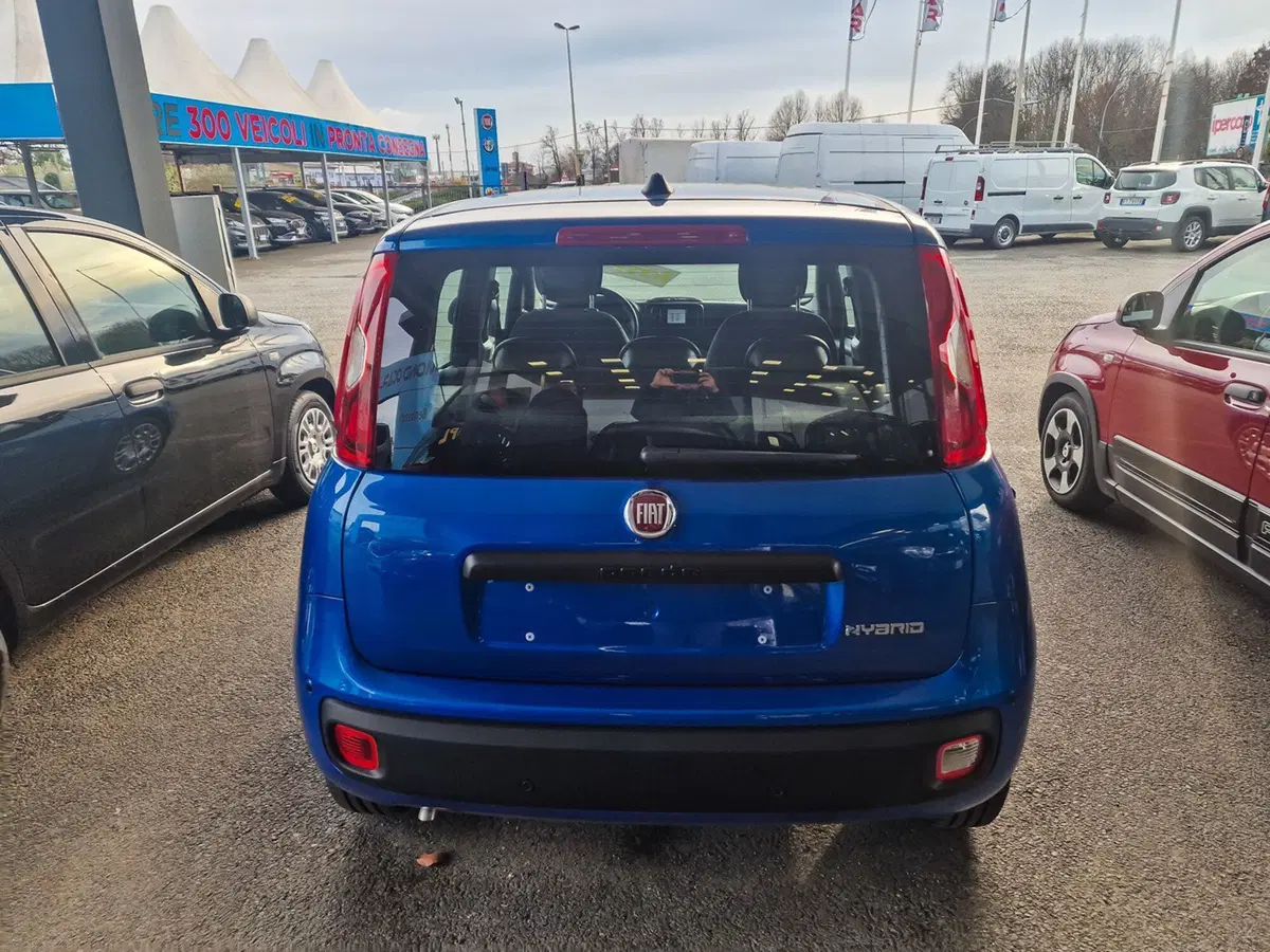 Fiat Pandina nuova a Torino (6)