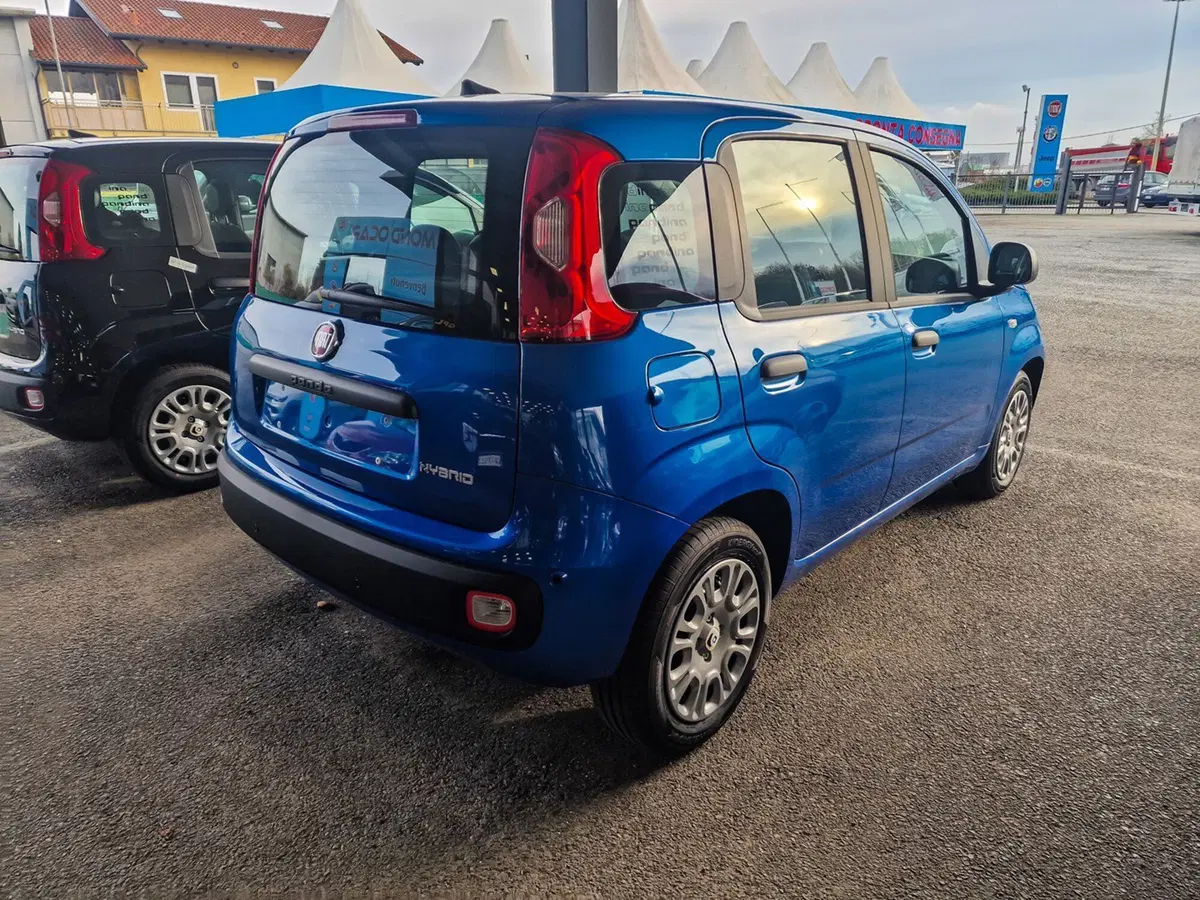 Fiat Pandina nuova a Torino (7)