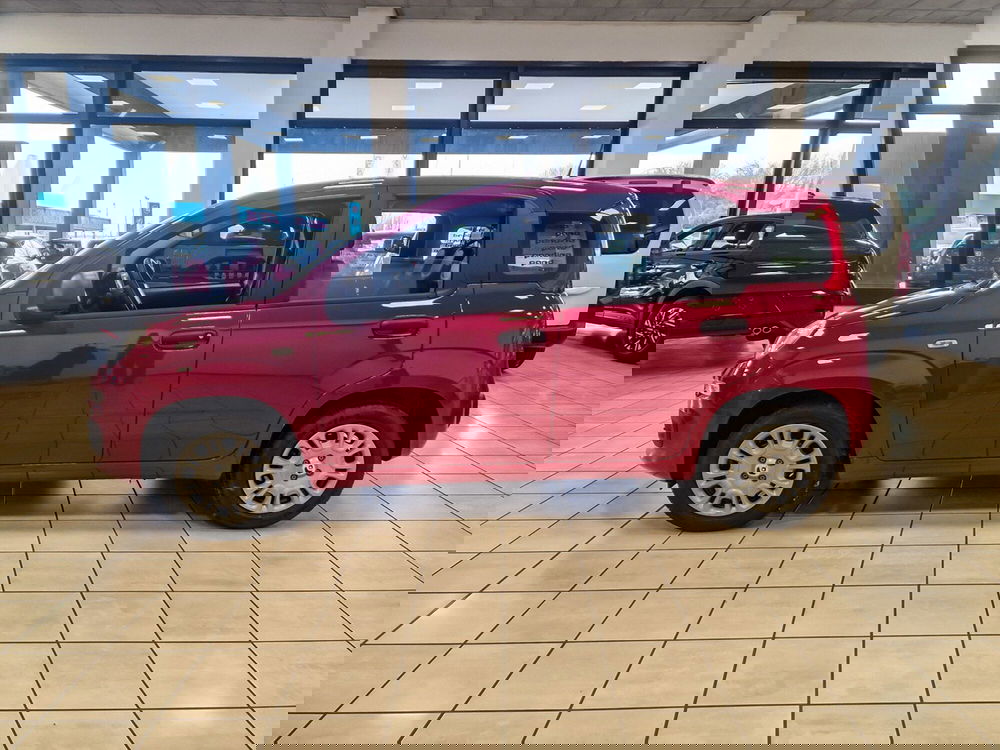 Fiat Pandina nuova a Torino (3)