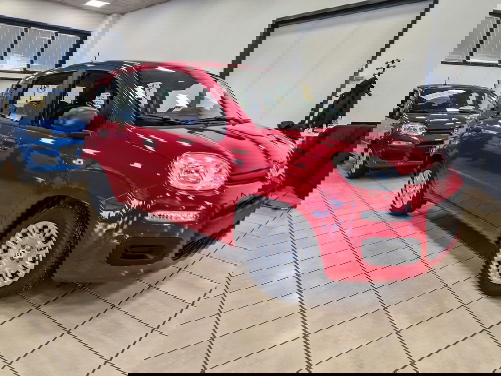 Fiat Pandina nuova a Torino (7)