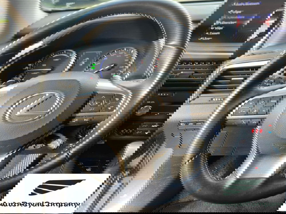 Lexus RX usata a Roma (13)