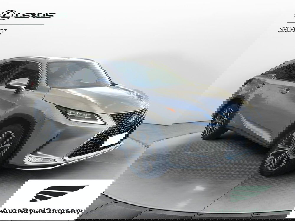 Lexus RX usata a Roma (8)