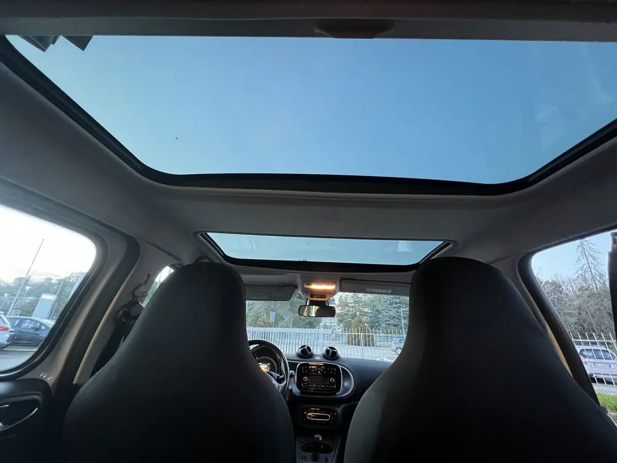 smart forfour usata a Teramo (14)