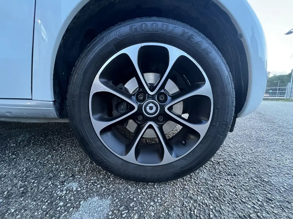 smart forfour usata a Teramo (16)
