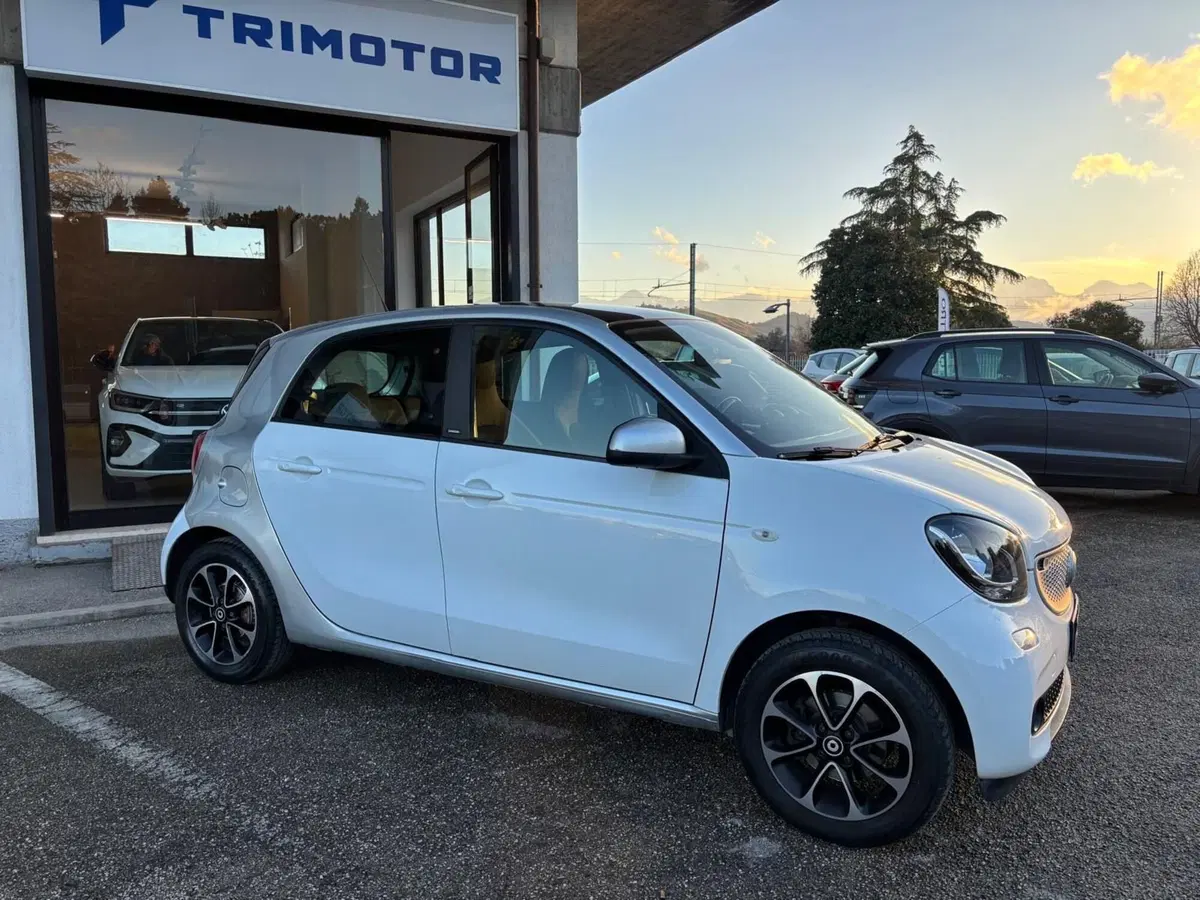 smart forfour usata a Teramo (2)