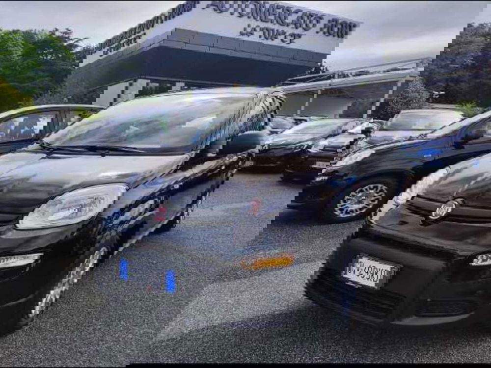 Fiat Panda Cross nuova a Roma