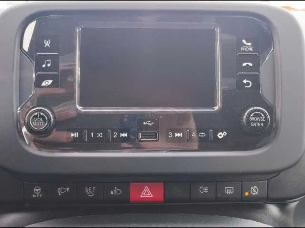 Fiat Panda Cross nuova a Roma (13)