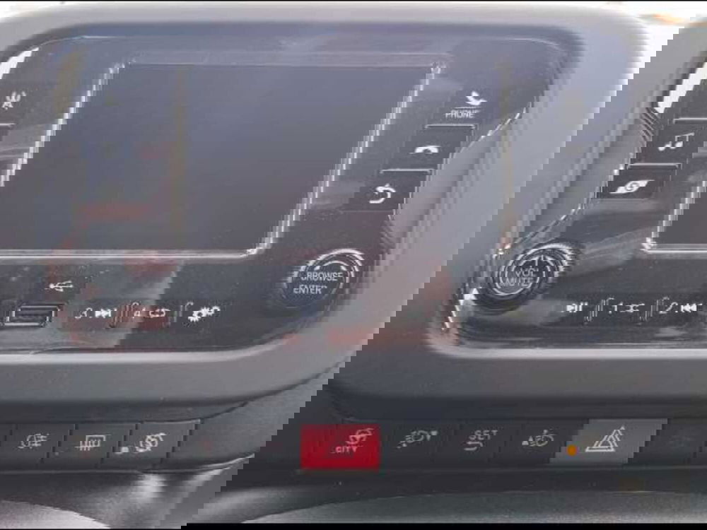 Fiat Panda Cross nuova a Roma (13)