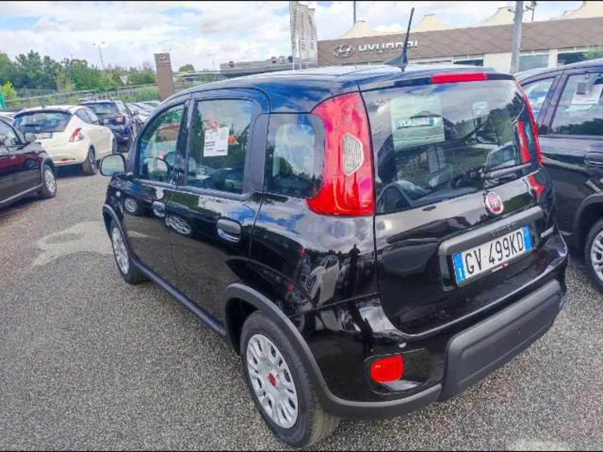 Fiat Panda Cross nuova a Roma (2)