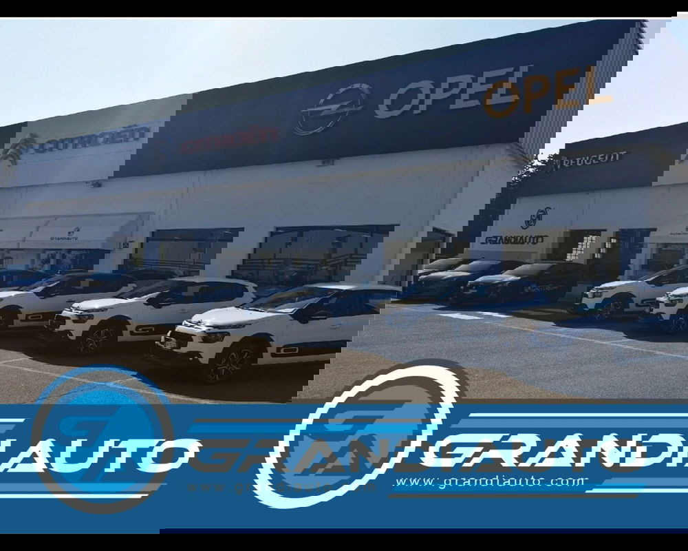 Jeep Renegade usata a Alessandria (10)