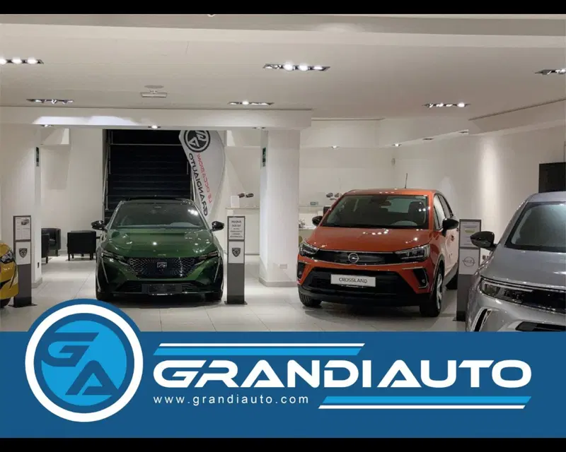 Jeep Renegade usata a Alessandria (11)