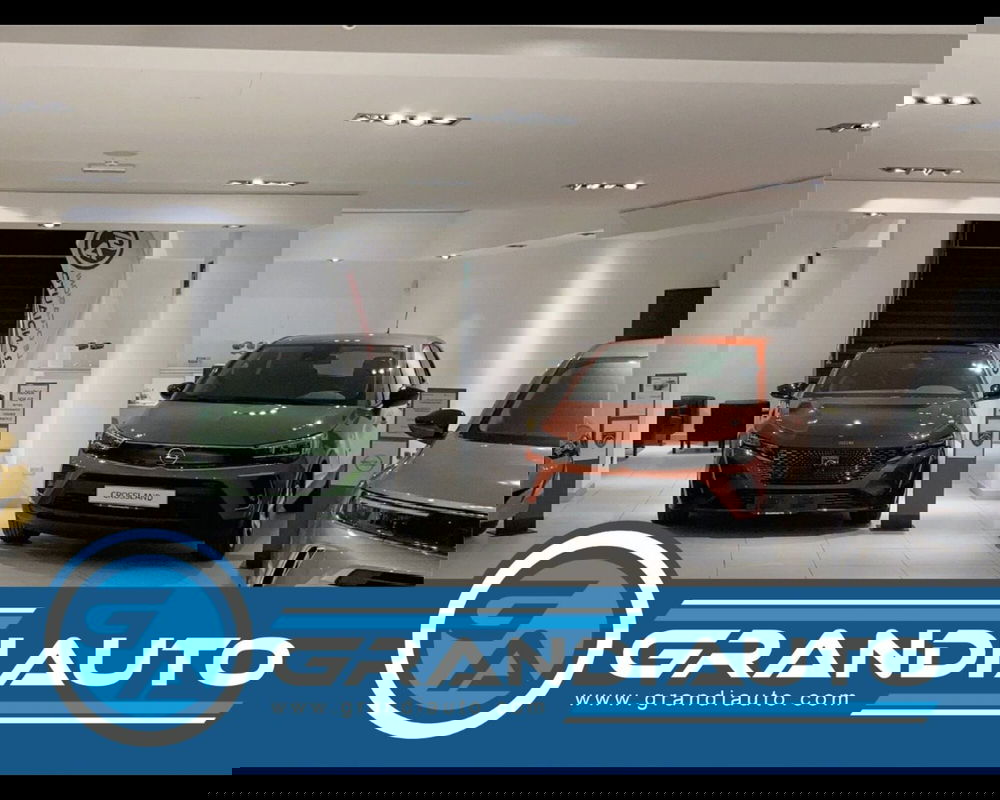 Jeep Renegade usata a Alessandria (11)