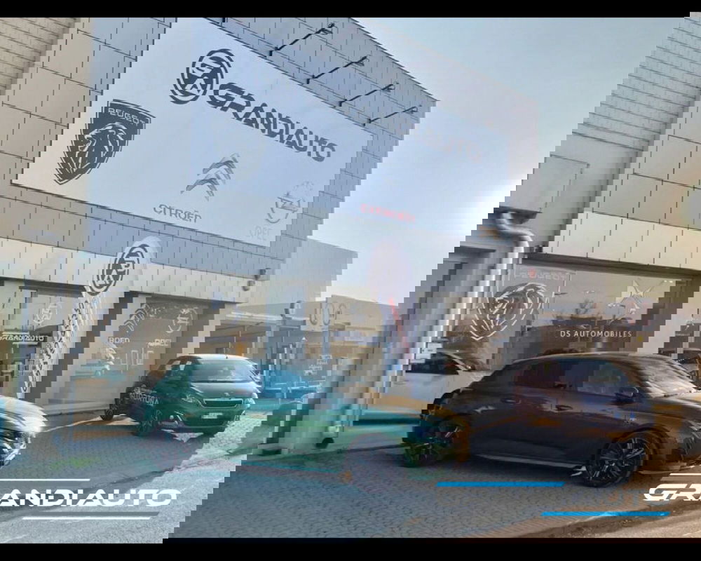 Jeep Renegade usata a Alessandria (13)