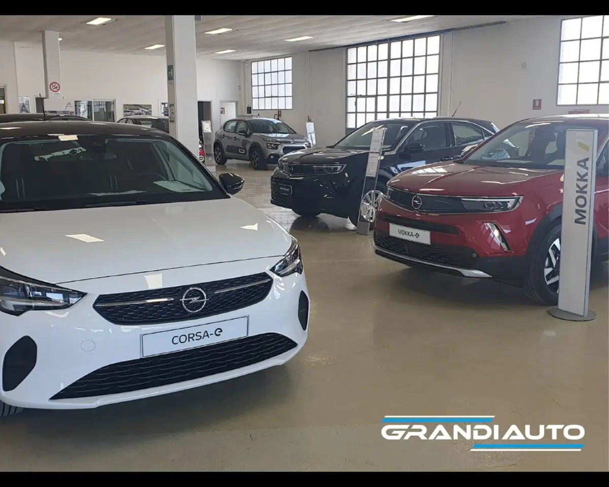 Jeep Renegade usata a Alessandria (15)