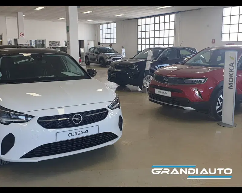 Jeep Renegade usata a Alessandria (15)