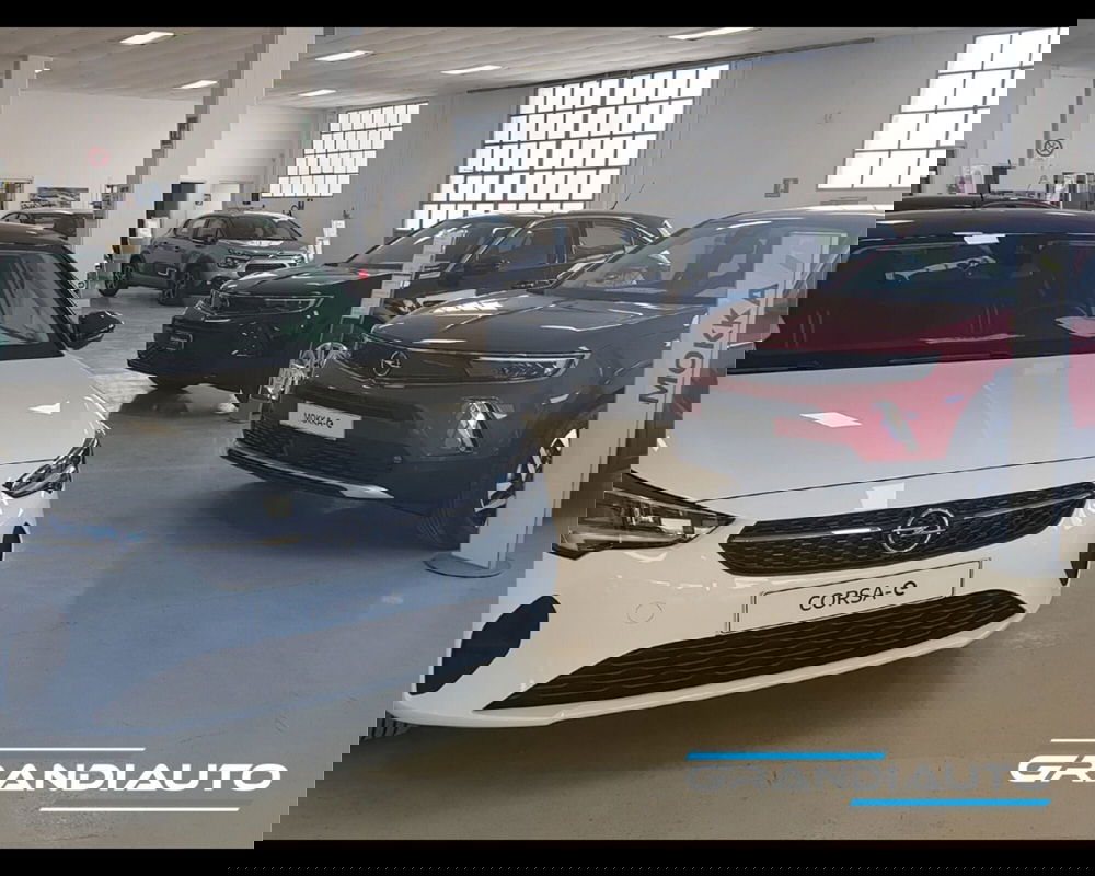 Jeep Renegade usata a Alessandria (15)