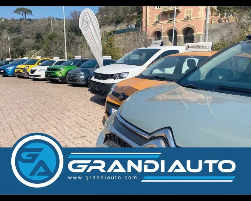 Jeep Renegade usata a Alessandria (16)