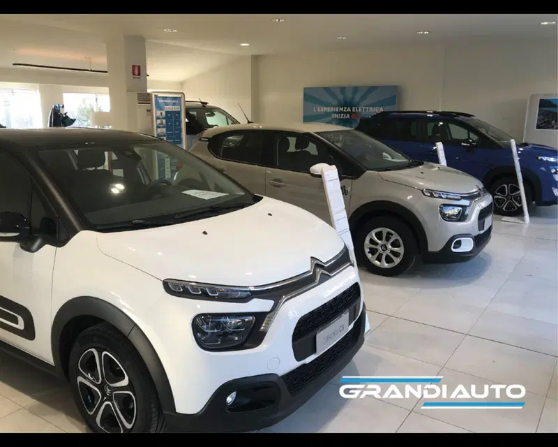 Jeep Renegade usata a Alessandria (4)
