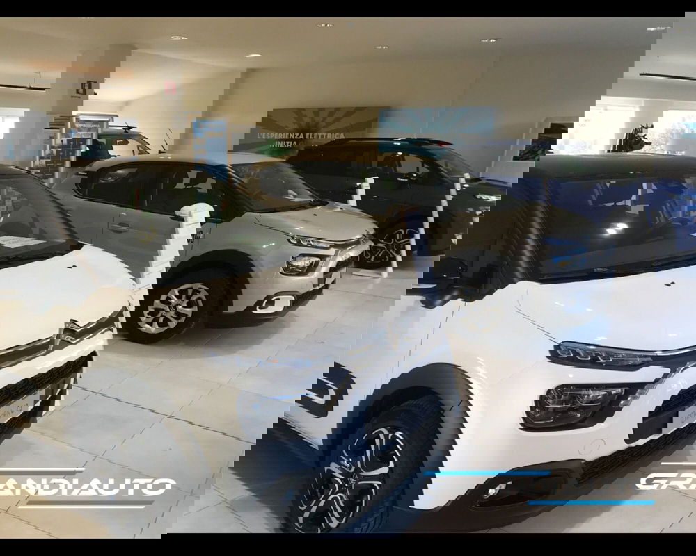 Jeep Renegade usata a Alessandria (4)