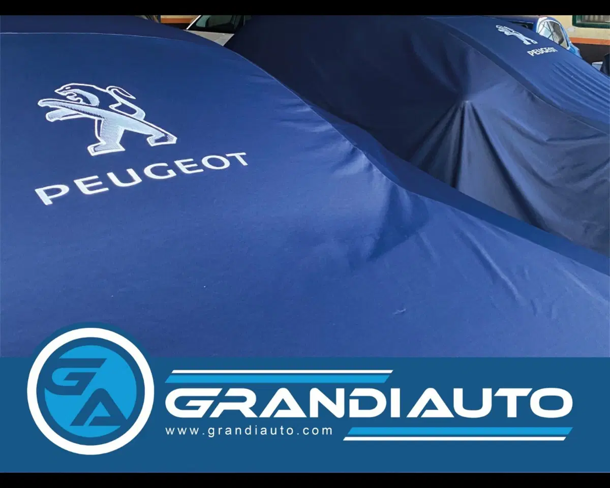 Jeep Renegade usata a Alessandria (6)
