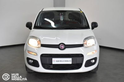 Fiat Panda 1.3 MJT 4x4 Pop Van 2 posti del 2019 usata a Foligno