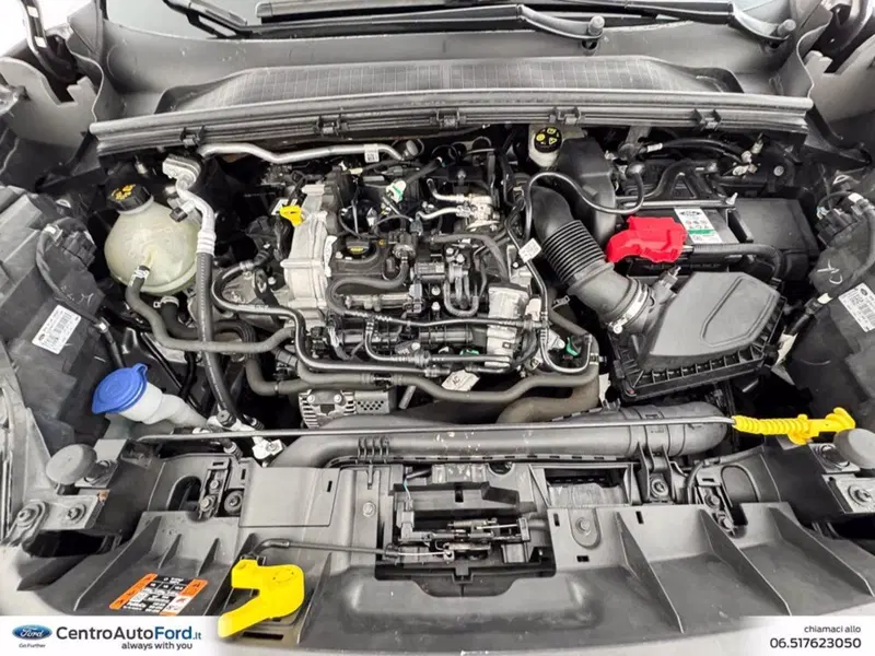 Ford Puma usata a Roma (12)