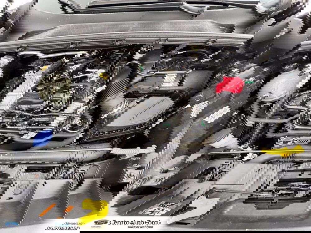 Ford Puma usata a Roma (12)