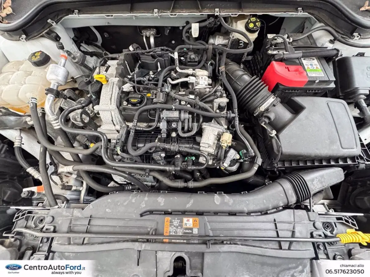 Ford Focus Station Wagon usata a Roma (12)