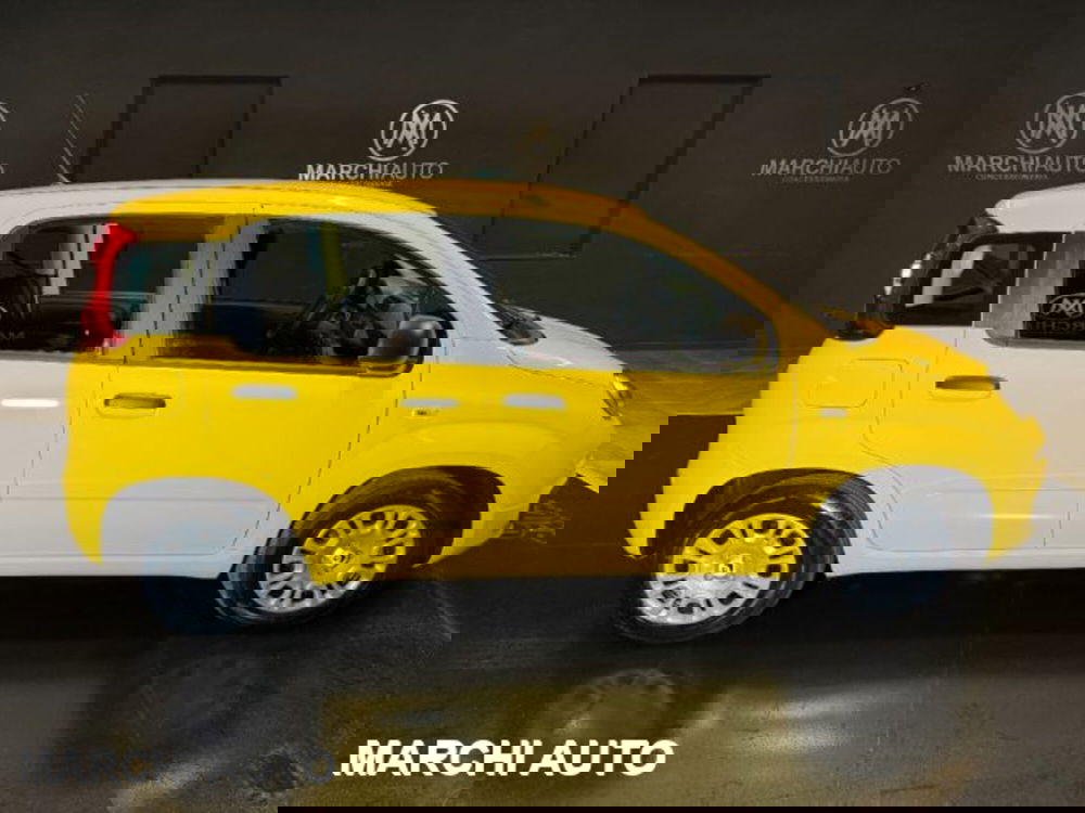 Fiat Panda usata a Perugia (4)