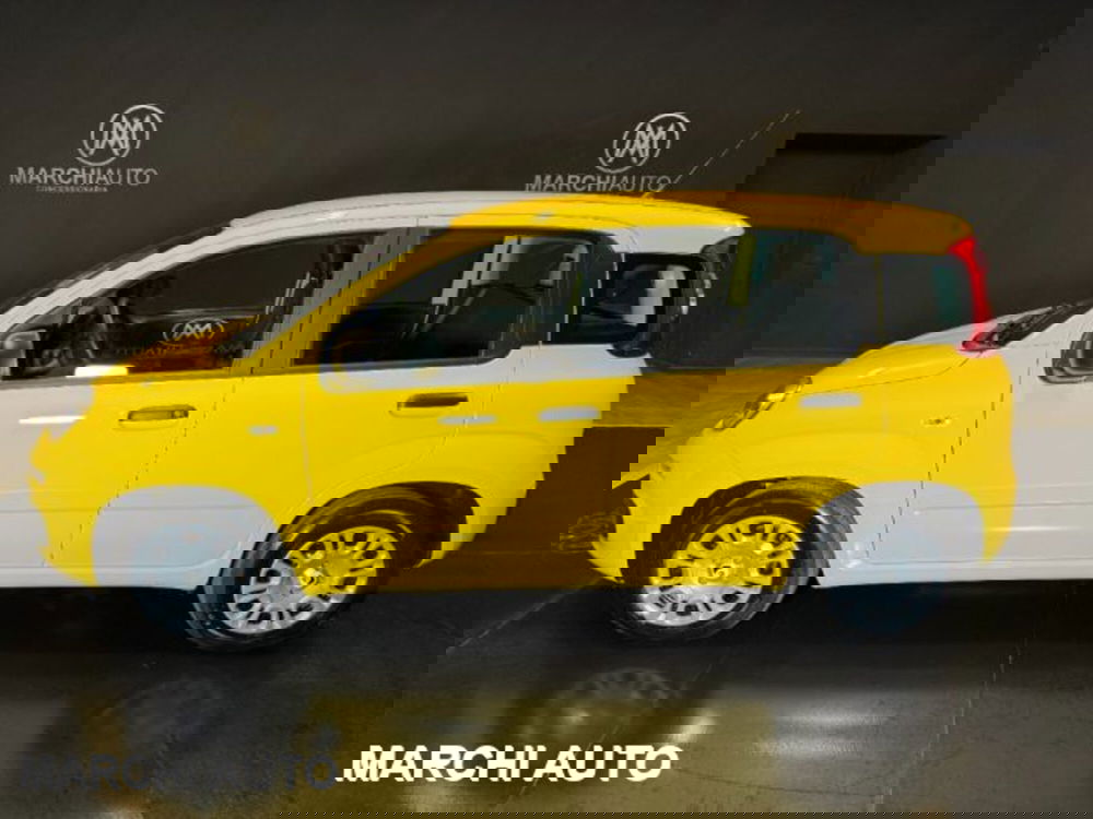 Fiat Panda usata a Perugia (8)