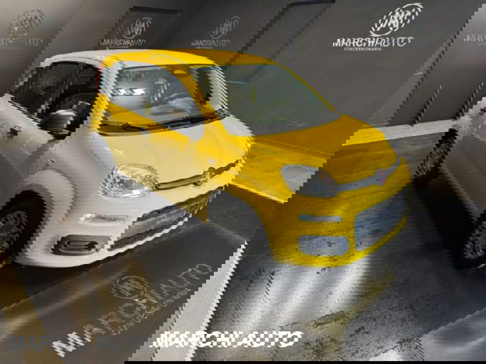 Fiat Panda usata a Perugia (3)