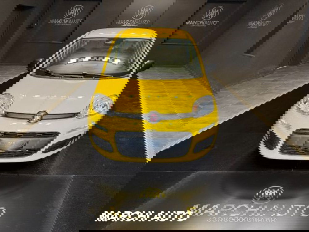 Fiat Panda usata a Perugia (2)