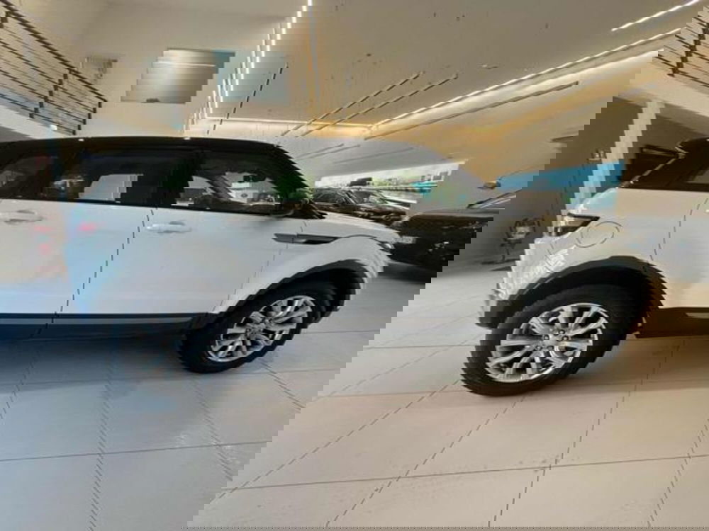 Land Rover Range Rover Evoque usata a Lucca