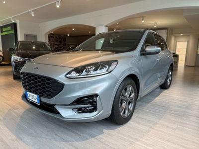 Ford Kuga 1.5 EcoBlue 120 CV 2WD ST-Line del 2022 usata a Massarosa