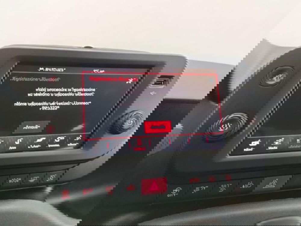 Fiat Panda Cross usata a Como (16)