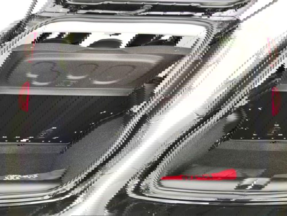 Fiat Panda Cross usata a Como (19)