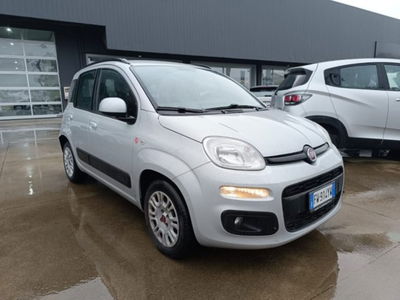 Fiat Panda 1.2 Lounge del 2019 usata a Belpasso