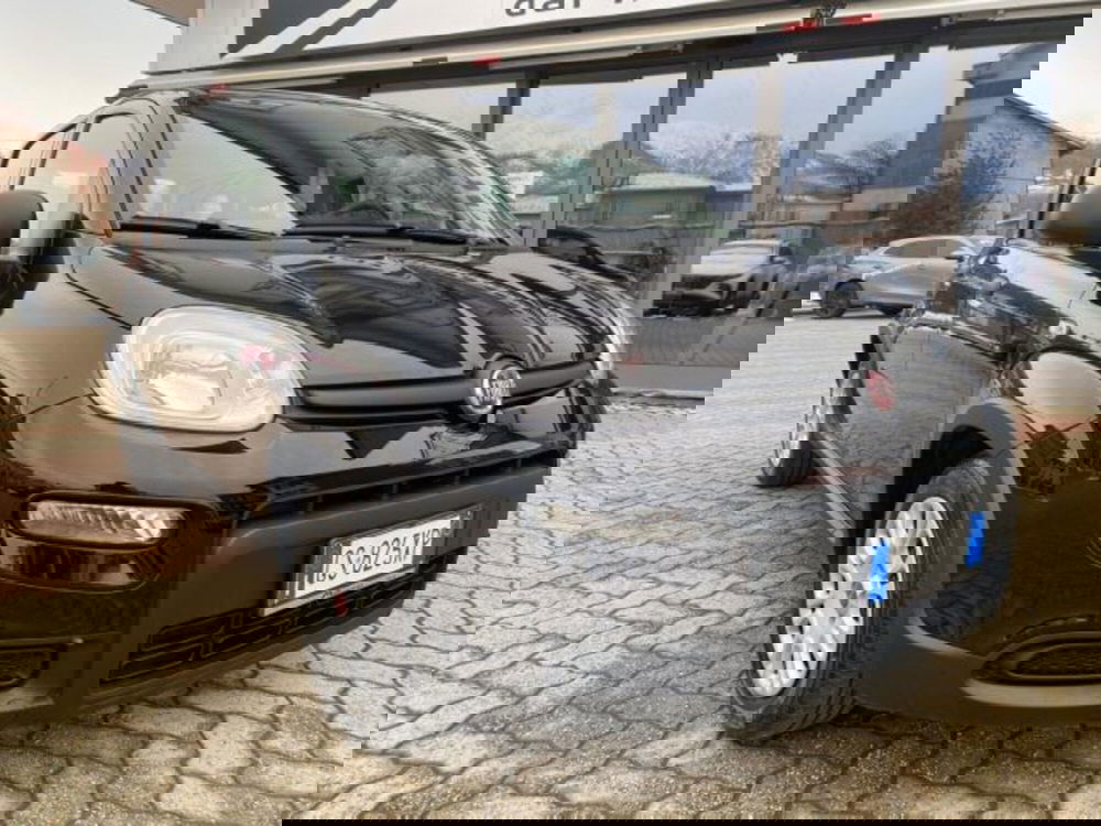 Fiat Panda usata a Cuneo (14)