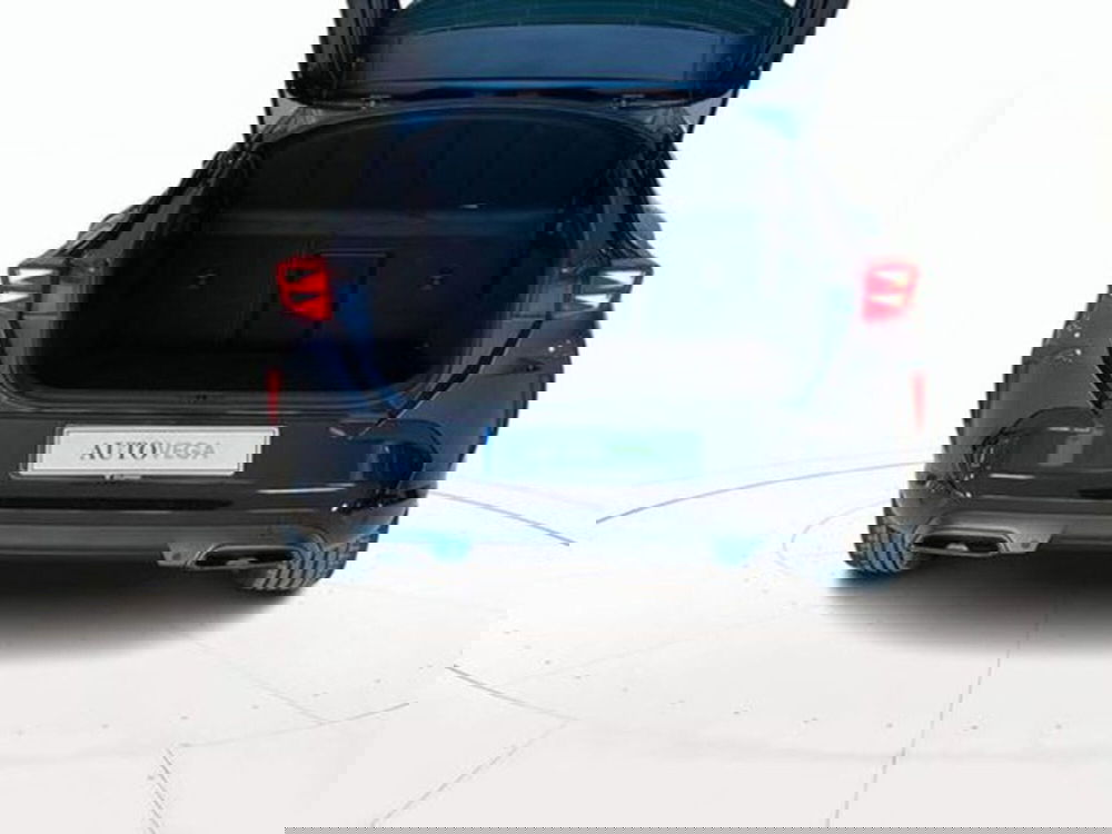 Cupra Formentor usata a Vicenza (20)