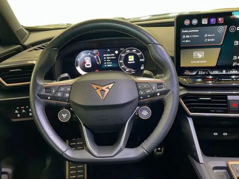 Cupra Formentor usata a Vicenza (9)