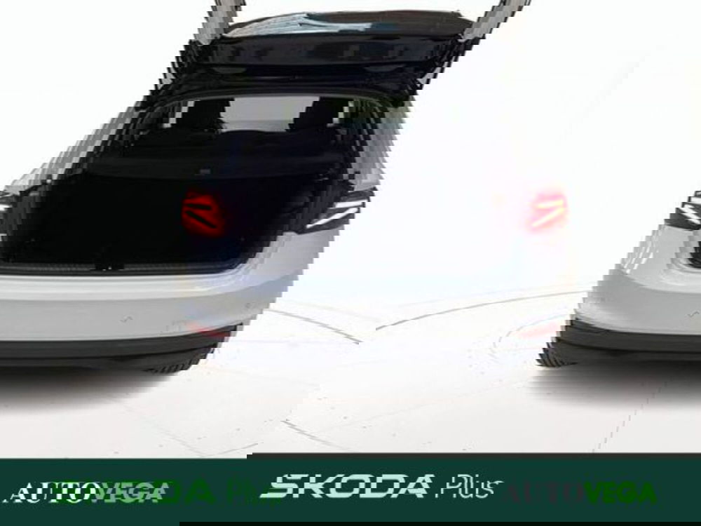 Skoda Fabia usata a Vicenza (17)