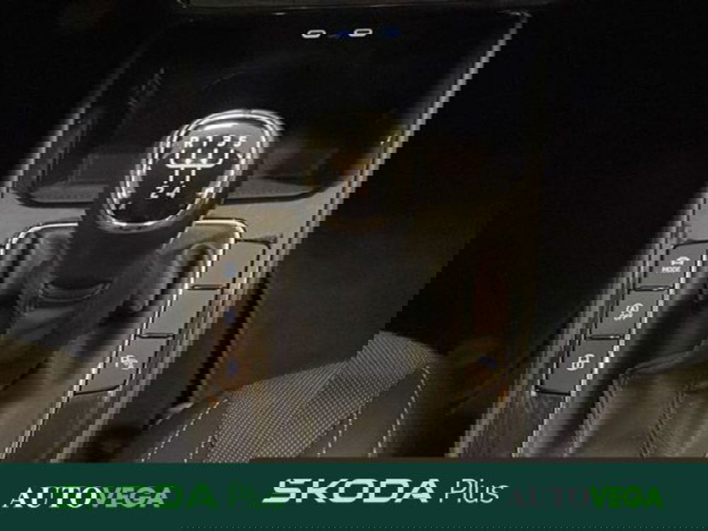 Skoda Fabia usata a Vicenza (11)